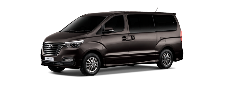 Hyundai h1 2019